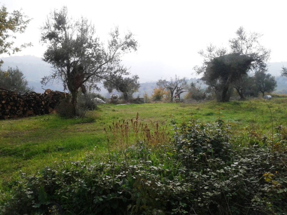 Farmland for sale in via alento strada comunale  at Casalincontrada - 513152 foto 4