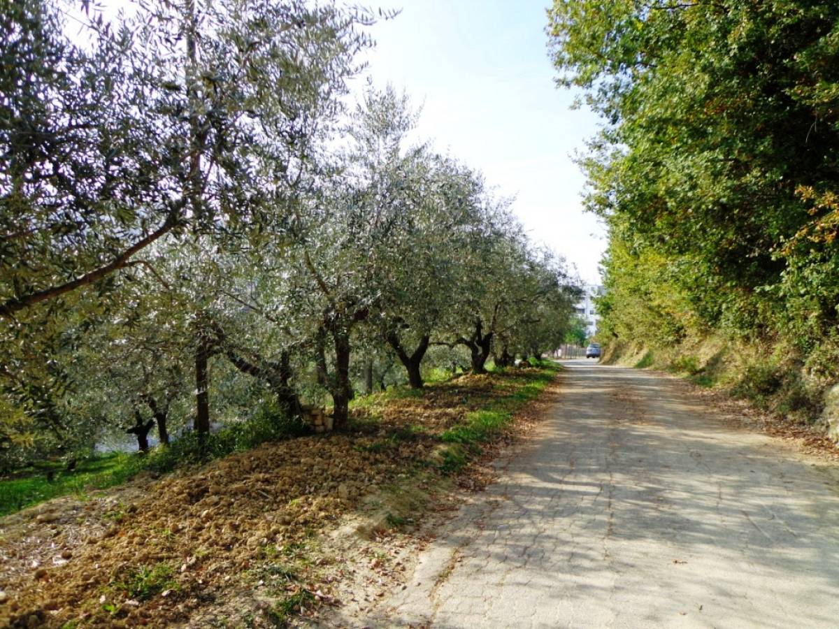 Terreno Agricolo in vendita in  zona Tricalle a Chieti - 406297 foto 1