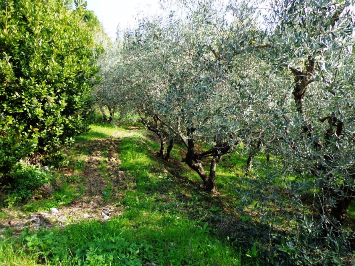 Terreno Agricolo in vendita in  zona Tricalle a Chieti - 406297 foto 3