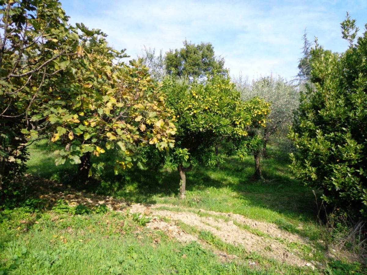 Terreno Agricolo in vendita in  zona Tricalle a Chieti - 406297 foto 4