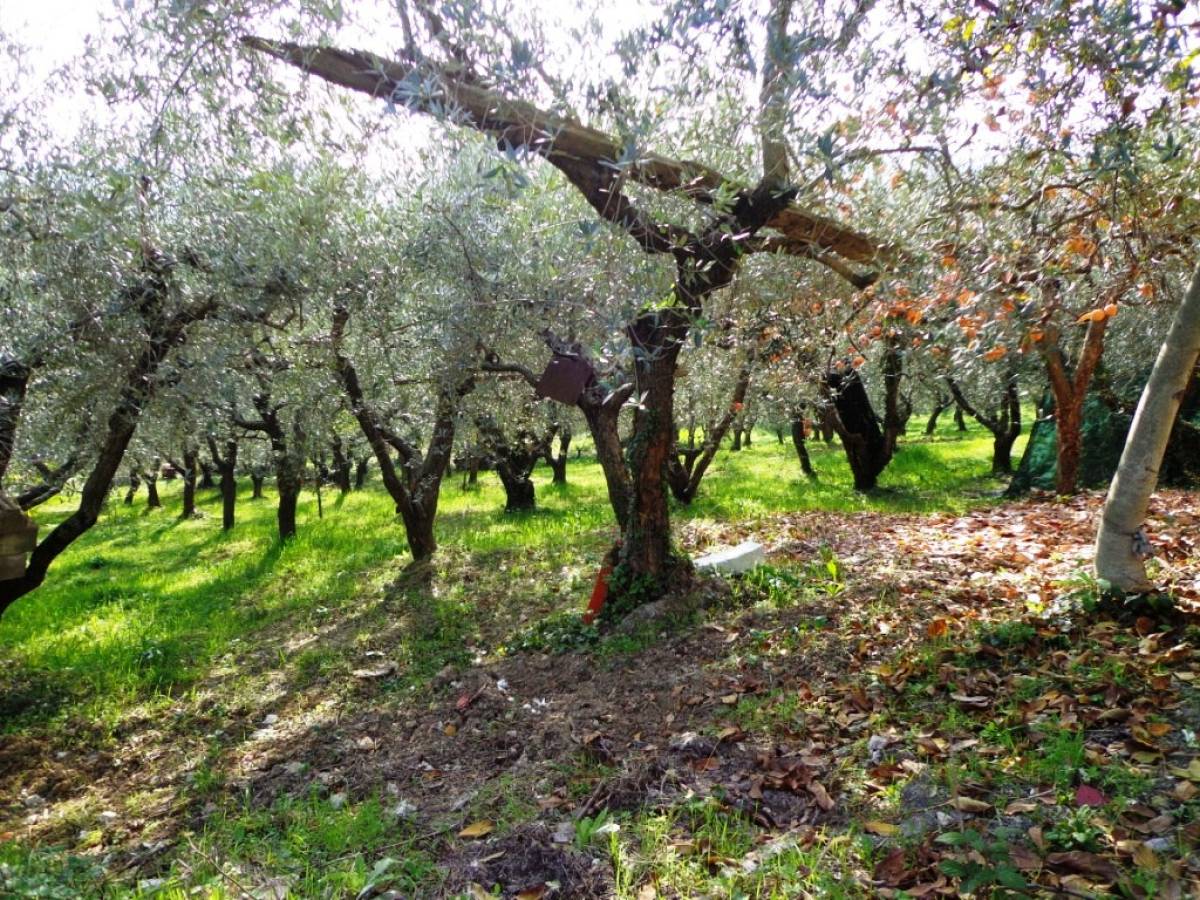 Terreno Agricolo in vendita in  zona Tricalle a Chieti - 406297 foto 5