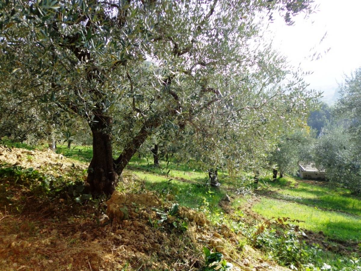 Terreno Agricolo in vendita in  zona Tricalle a Chieti - 406297 foto 6