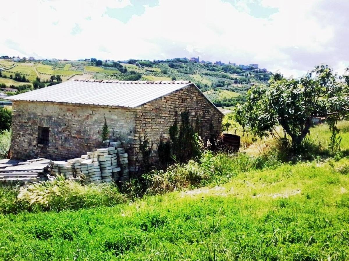 Farmland for sale in c.da campo di roma  at Bucchianico - 342003 foto 3