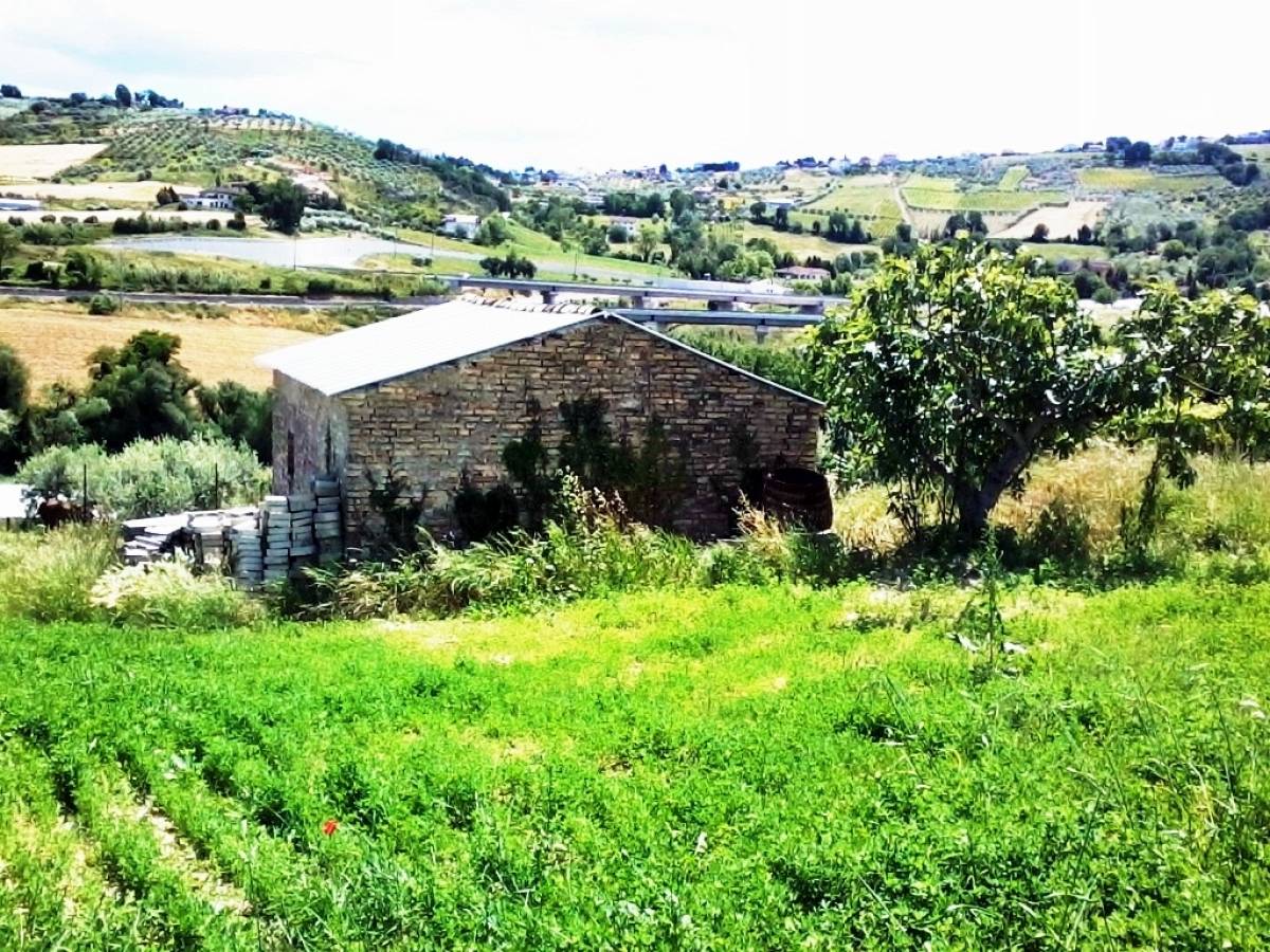 Terreno Agricolo in vendita in c.da campo di roma  a Bucchianico - 342003 foto 4