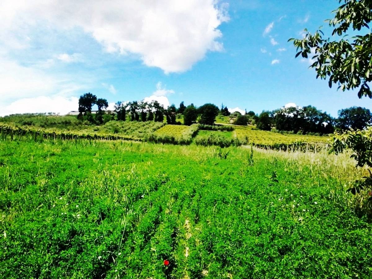 Terreno Agricolo in vendita in c.da campo di roma  a Bucchianico - 342003 foto 6