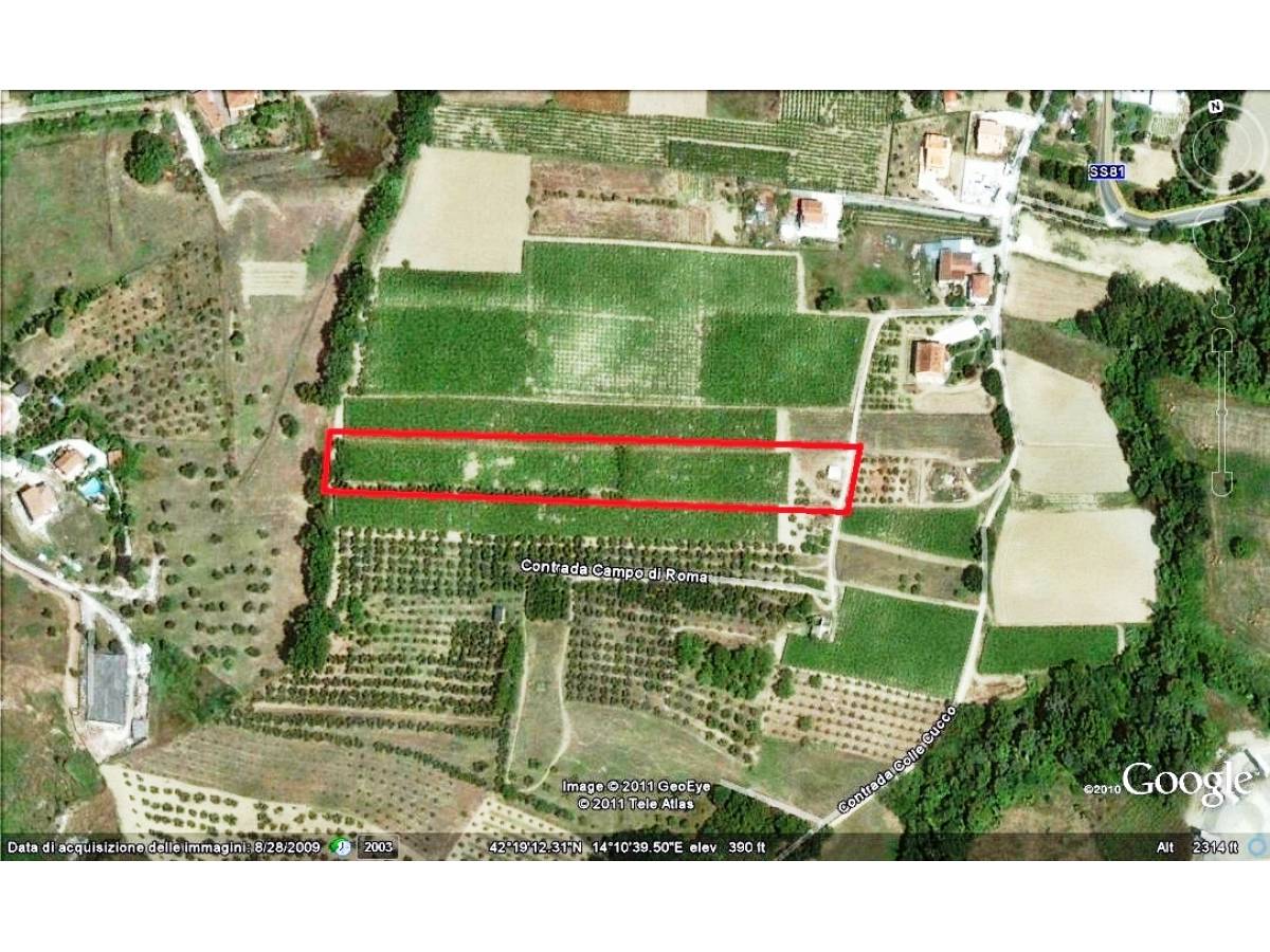 Farmland for sale in c.da campo di roma  at Bucchianico - 342003 foto 7