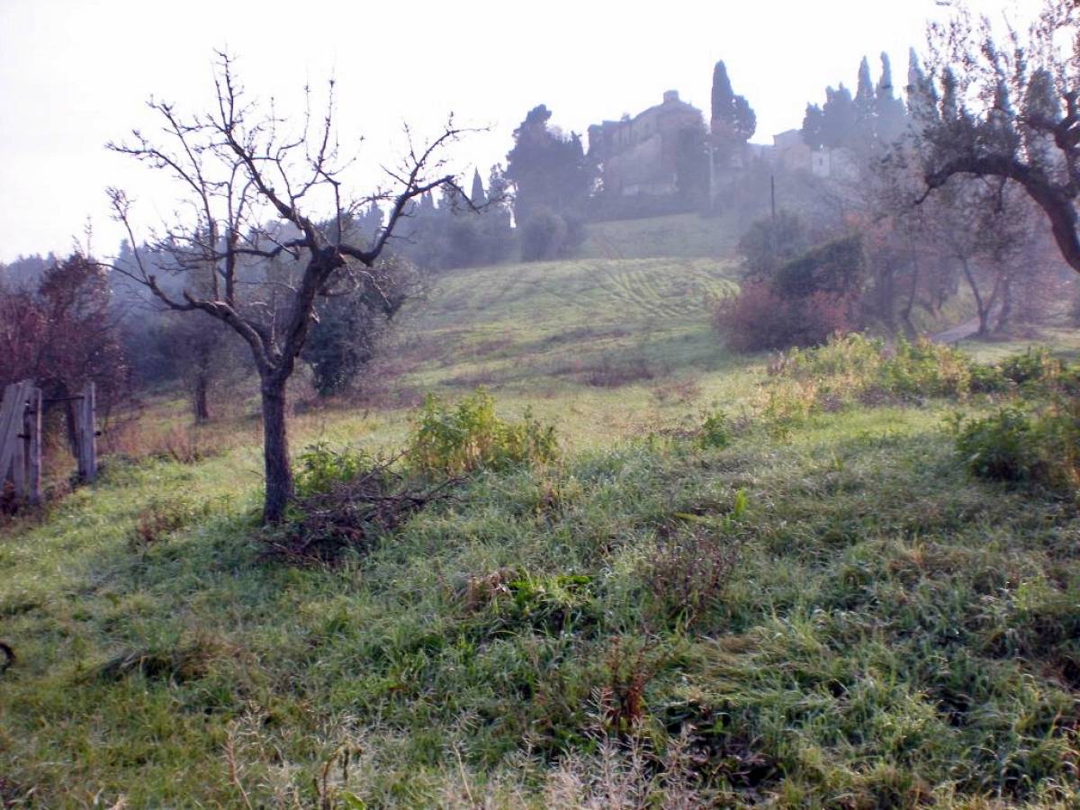 Terreno Agricolo in vendita in contrada costa cola  a Bucchianico - 7785 foto 1