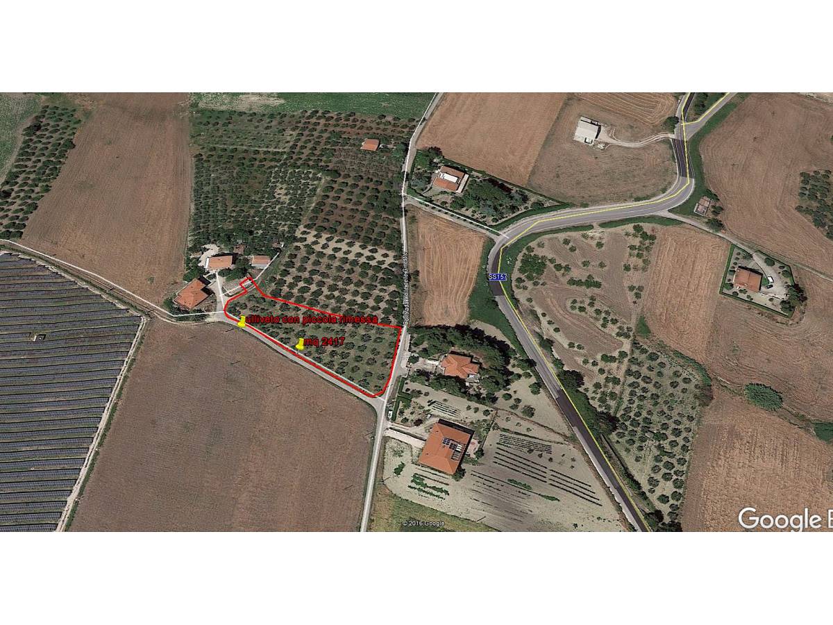 Farmland for sale in contrada colle delle ginestre  at Montenero di Bisaccia - 349047 foto 2