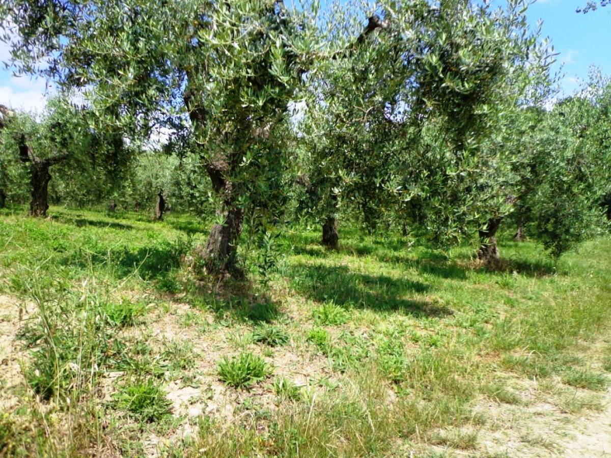 Rural house or Rustic for sale in via colle casale  at Casalincontrada - 870895 foto 8