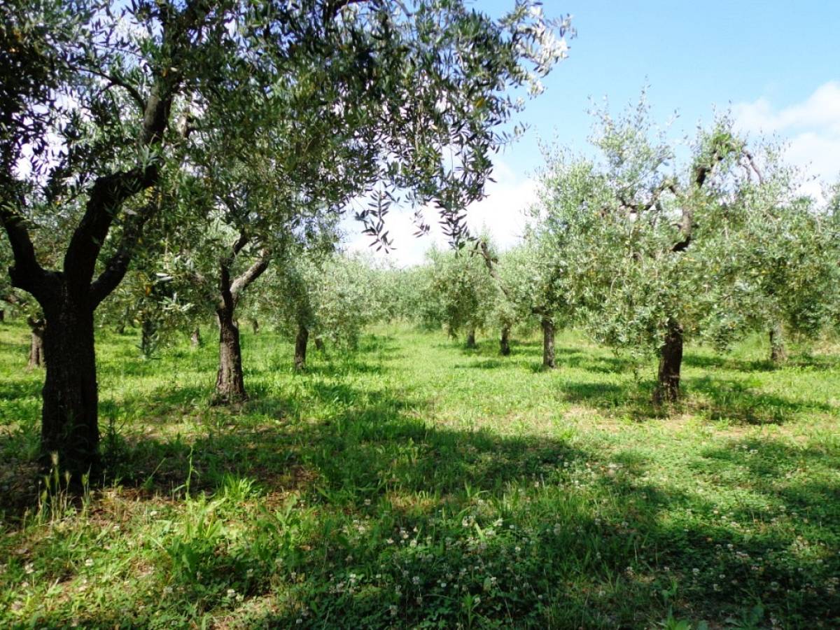 Rural house or Rustic for sale in via colle casale  at Casalincontrada - 870895 foto 9