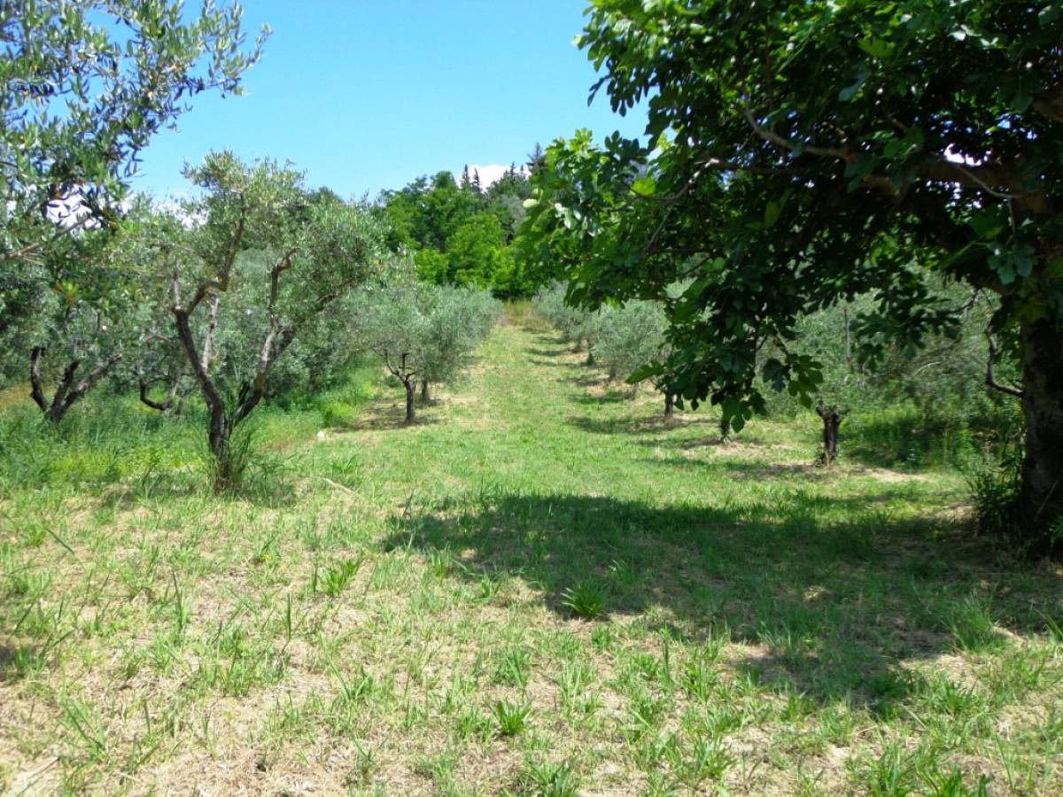 Rural house or Rustic for sale in via colle casale  at Casalincontrada - 870895 foto 11