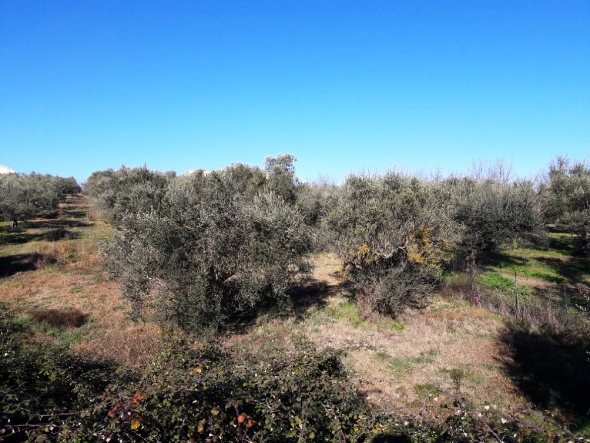 Residential building lot for sale in strada provinciale 83  at Pianella - 7743061 foto 4