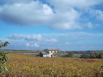 Casa indipendente in vendita a Scerni