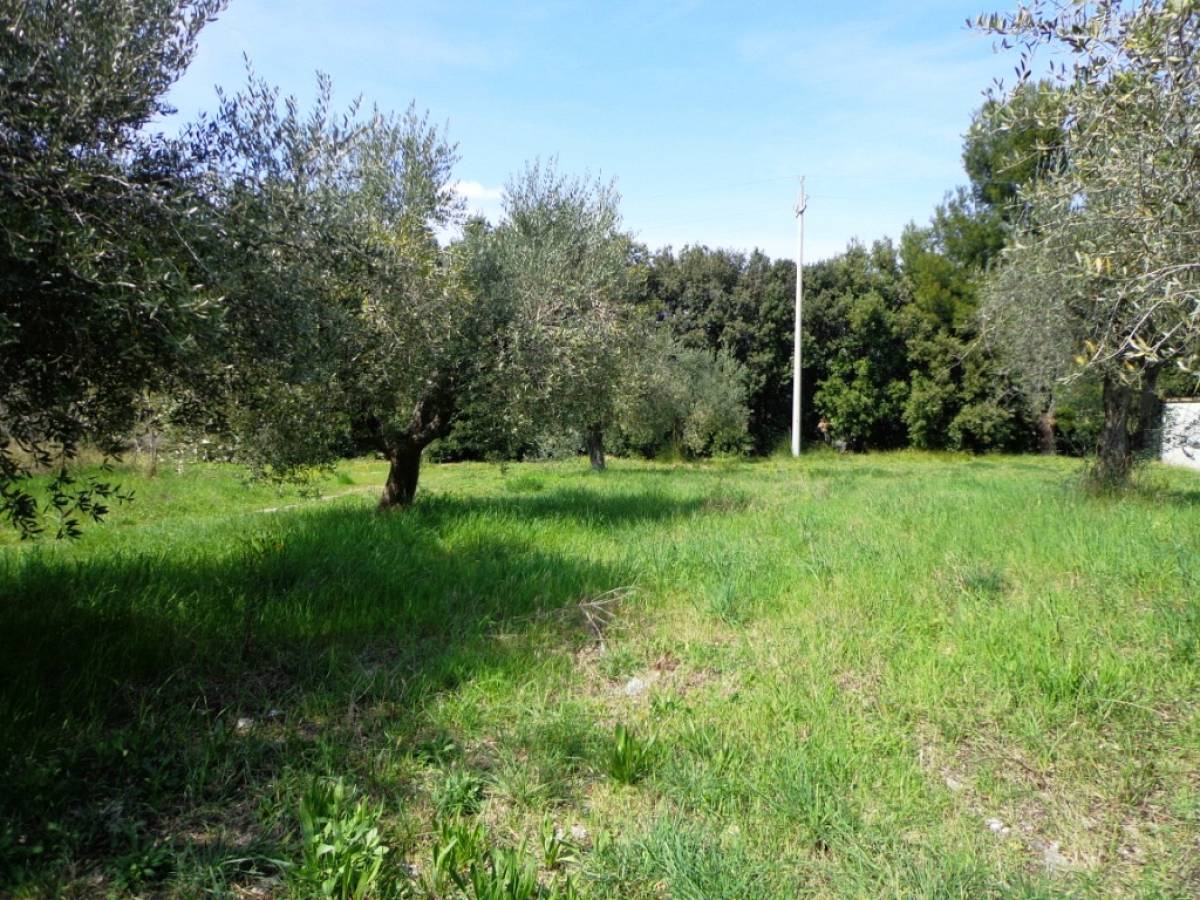 Residential building lot for sale in via torre  at Torrevecchia Teatina - 2476048 foto 4