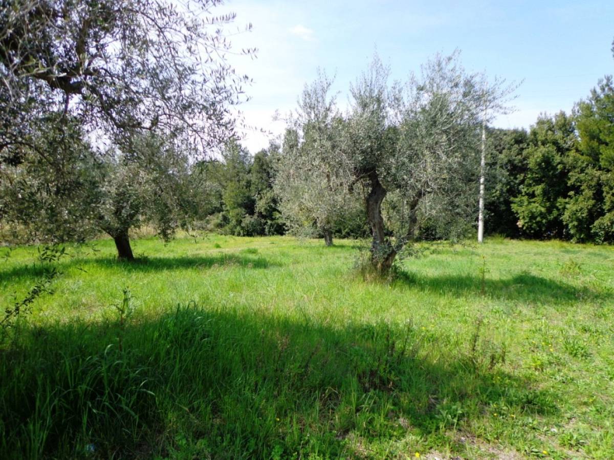 Residential building lot for sale in via torre  at Torrevecchia Teatina - 2476048 foto 5