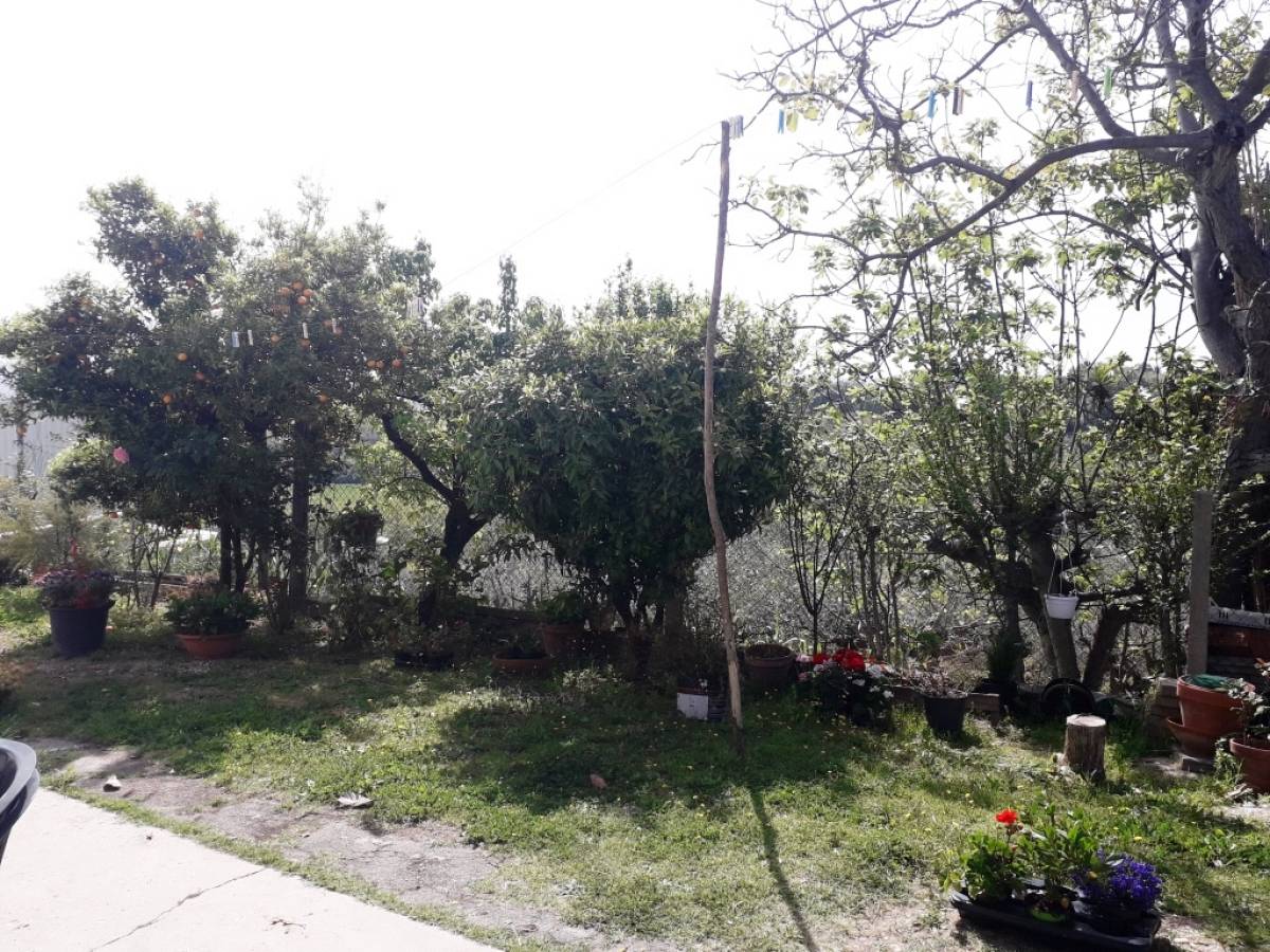 Porzione di casa in vendita in via capone  a Cepagatti - 4230525 foto 5