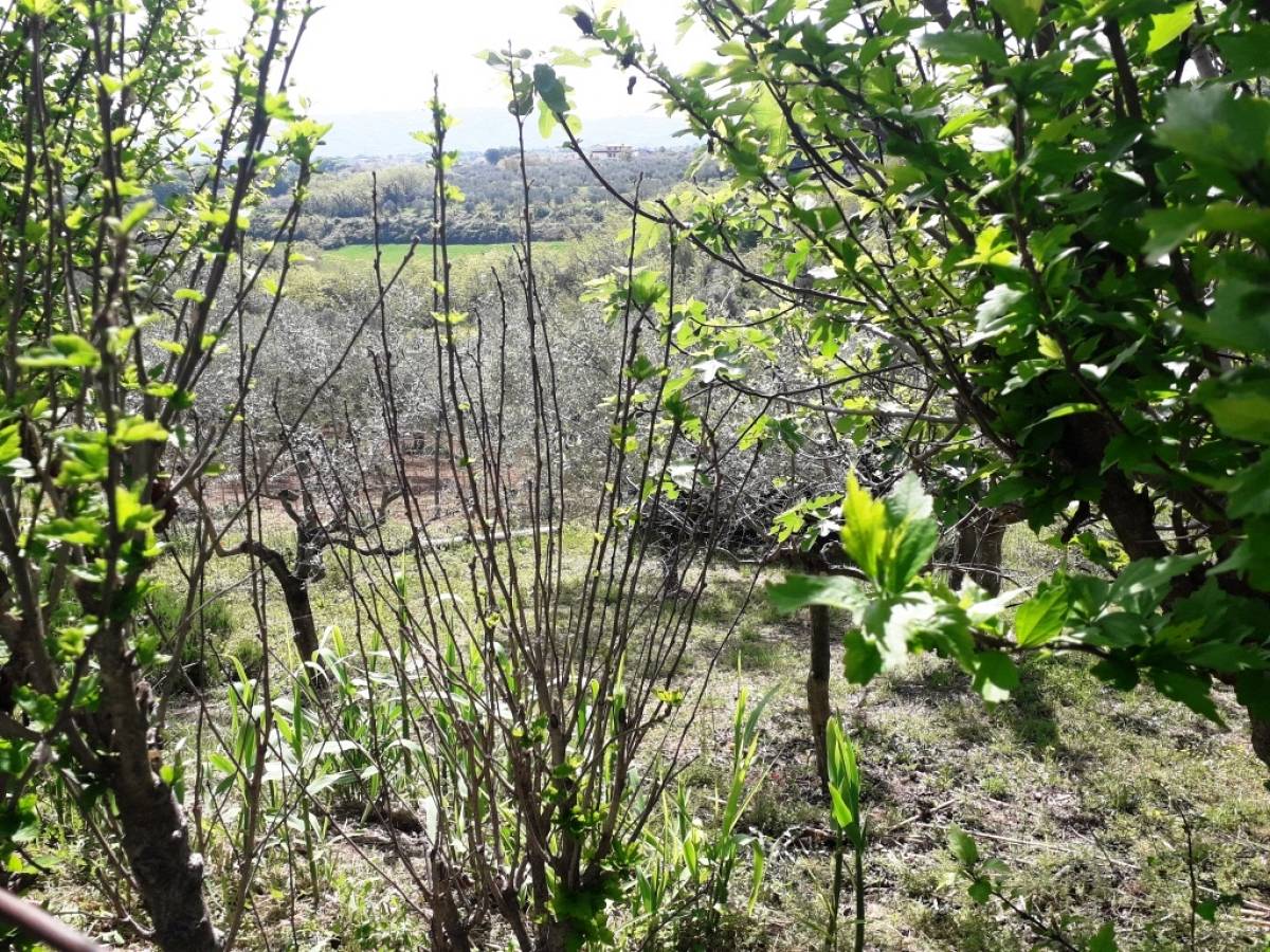 Porzione di casa in vendita in via capone  a Cepagatti - 4230525 foto 9