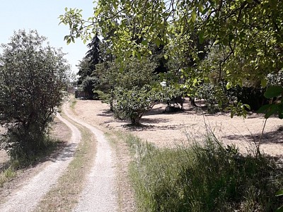 Casa indipendente in vendita a Bucchianico