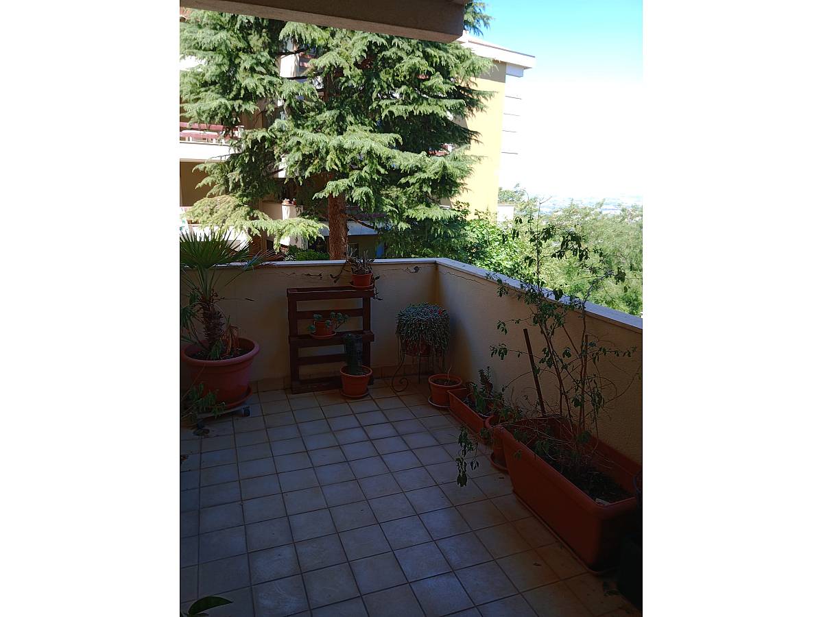 Apartment for sale in via monsignor rocco cocchia  at Chieti - 68439 foto 9